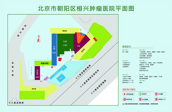 日日女女人人的的逼逼北京市朝阳区桓兴肿瘤医院平面图